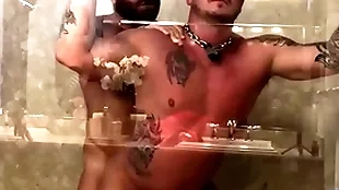 Breedmeraw riley mitchel fucks doggystyle in bareback shower
