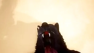 Pov two gay wolves having it away - wildlife