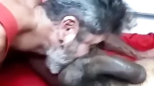 Mamei a rolona do negrao que quase me arrobou todo