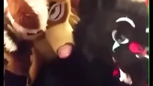 Fursuiters fianc? in bathroom space fully unworthy moans loudly