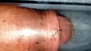 Ants bite blarney