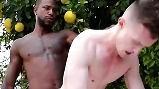 Gigantic bbc penetrates gay asshole - reign , adaptation ducati