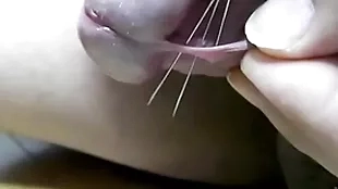 チンポに針を刺す