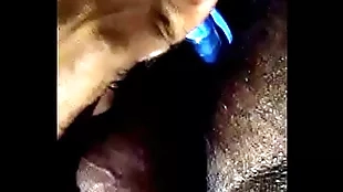 Desi detached pest fucking apropos imprison